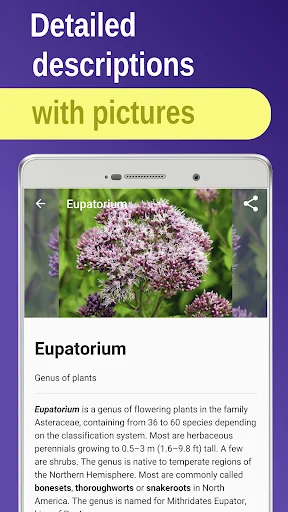 Medicinal plants & Herbs screenshot 2