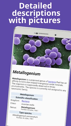 Bacteriology & Microbiology screenshot 2
