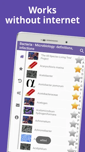 Bacteriology & Microbiology screenshot 4