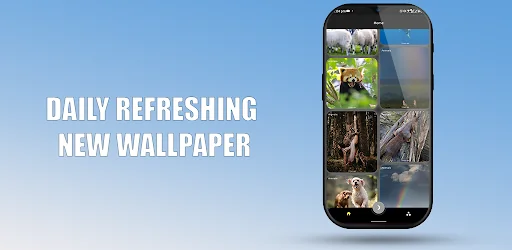 Wallify - Wallpapers