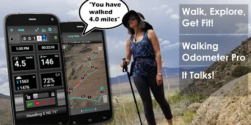 Walking Odometer Pro