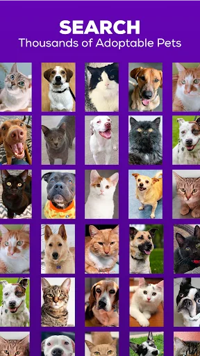 Petfinder - Adopt a Pet screenshot 1