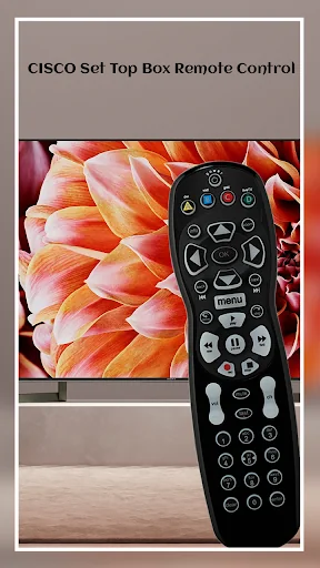 Set Top Box Remote for CISCO