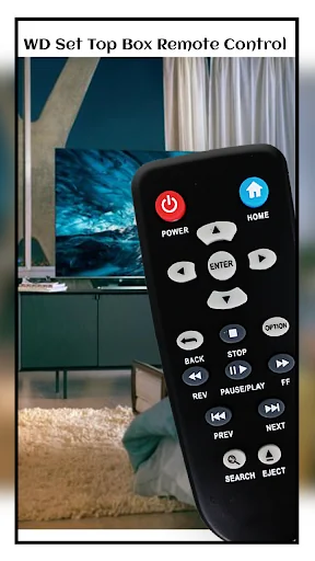 Remote Control For WD Set Top 