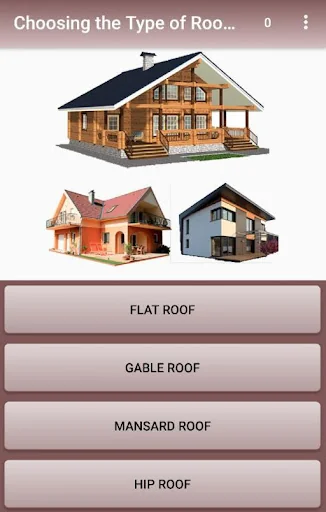 Calculation of the roof screenshot 1