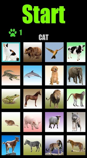 Animal sounds