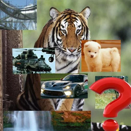 Picture Puzzle