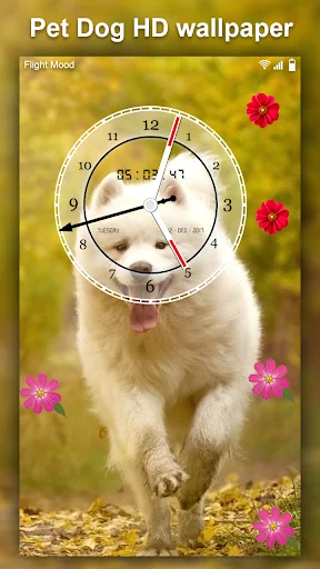 Cute Pet Dog Live Wallpaper HD screenshot 1