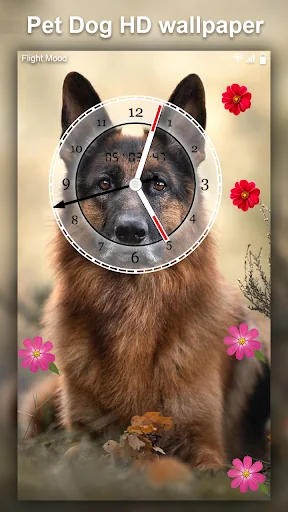 Cute Pet Dog Live Wallpaper HD screenshot 2