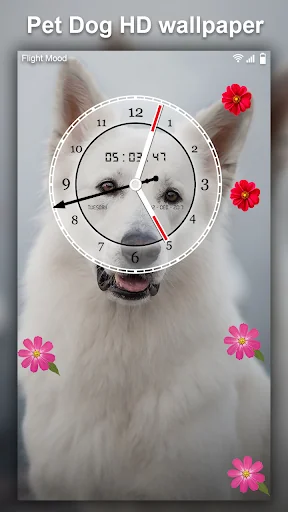 Cute Pet Dog Live Wallpaper HD screenshot 3