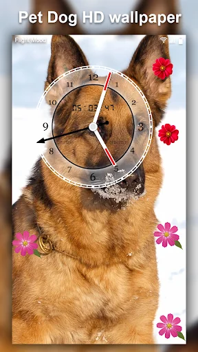 Cute Pet Dog Live Wallpaper HD screenshot 4
