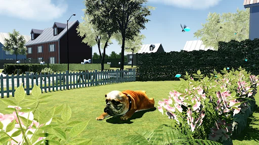 Bull Dog Simulator 3D