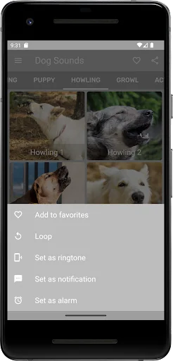 Dog Sounds screenshot 3