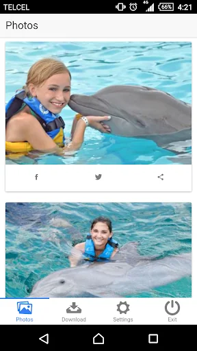 Dolphin Memories