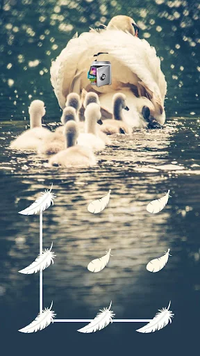 AppLock Theme Swan