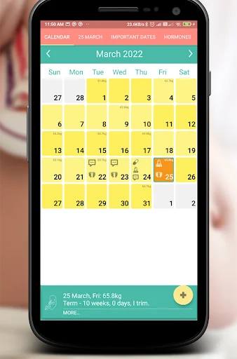 Pregnancy Calendar