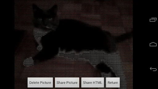 AsciiCam screenshot 3