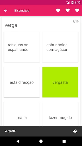 Portuguese Spanish Dictionary screenshot 4