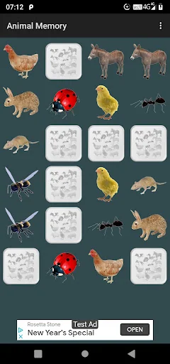 Animal Memory