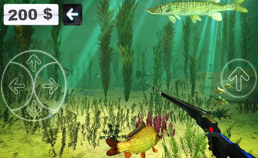 Spearfishing. Marine life.