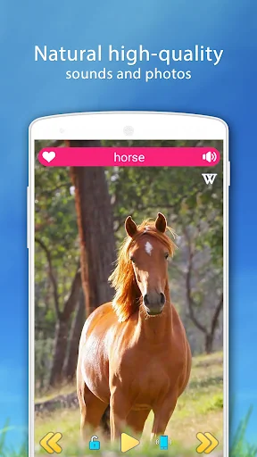 Farm Animal Sounds screenshot 2