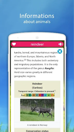 Farm Animal Sounds screenshot 3