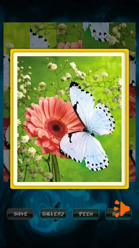 Butterfly Fluttering Puzzle screenshot 2