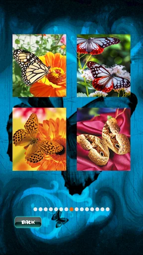 Butterfly Fluttering Puzzle screenshot 4