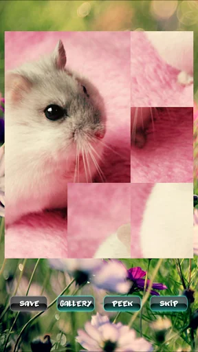Hamster Pet Puzzles screenshot 1