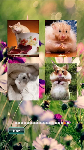 Hamster Pet Puzzles screenshot 3