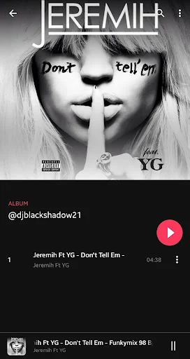 Noad Music Player (open-source screenshot 4