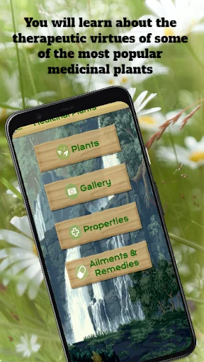 Medicinal Plants & Remedies