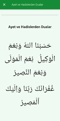 Prayers and Surat Voice screenshot 4