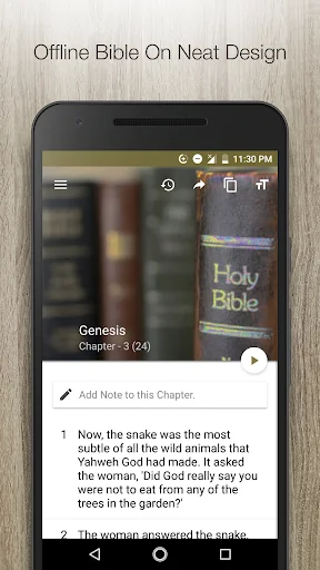 Jerusalem Bible