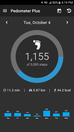 Pedometer Plus - Step Counter
