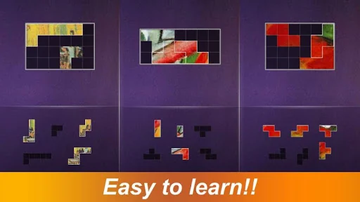 Block Gallery - Jigsaw Puzzle screenshot 2
