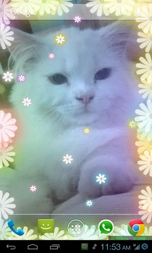 Flowers Live Wallpaper PRO