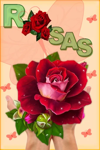 Rosas con frases para dedicar