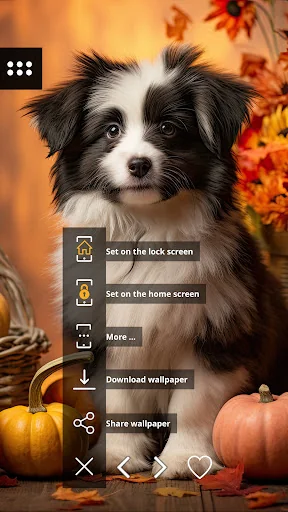 Autumn wallpapers screenshot 2