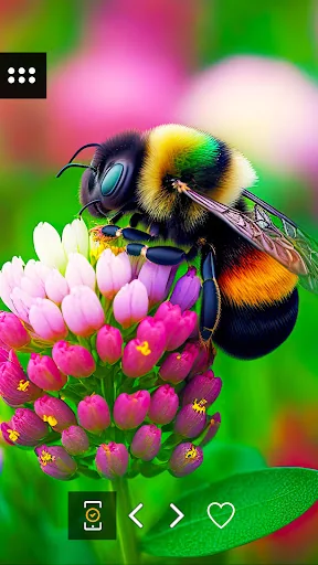 Wallpapers 4K with insects