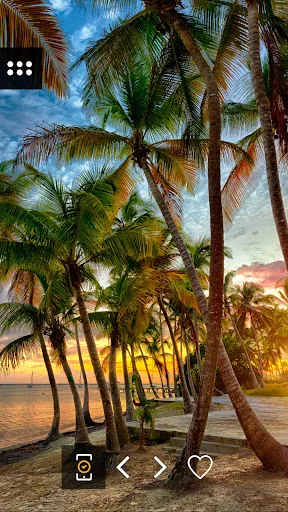 Wallpapers - sunset