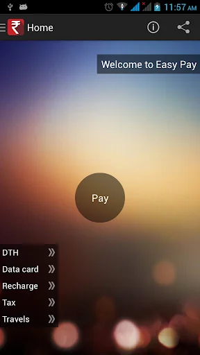 Easy Pay