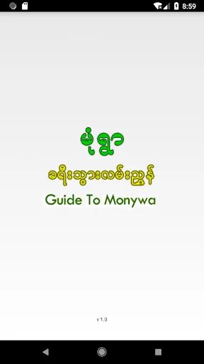 Guide To Monywa