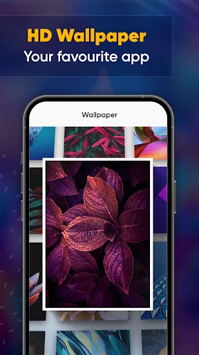 HD Wallpapers
