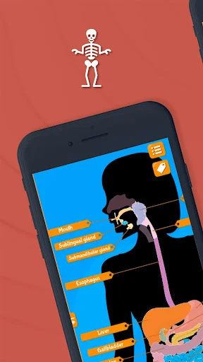 Human Anatomy - Body parts screenshot 2