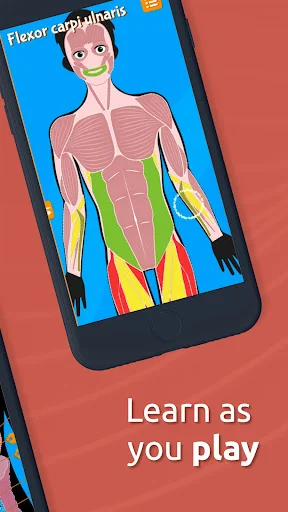 Human Anatomy - Body parts screenshot 3