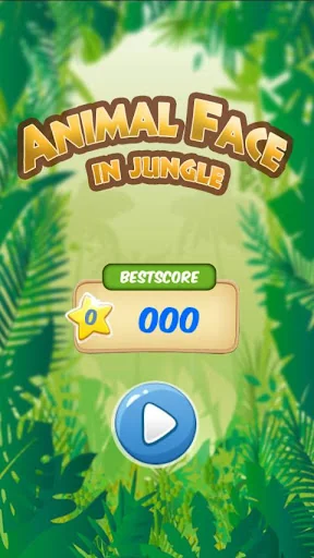 Animal Face in Jungle