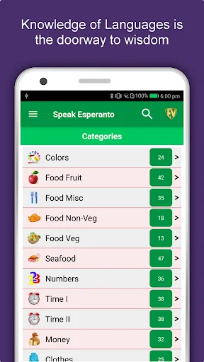 Learn Esperanto Language App