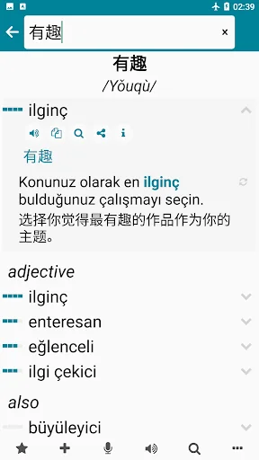 Chinese - Turkish
