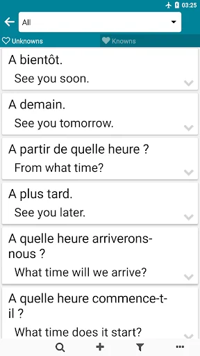 French - English screenshot 4